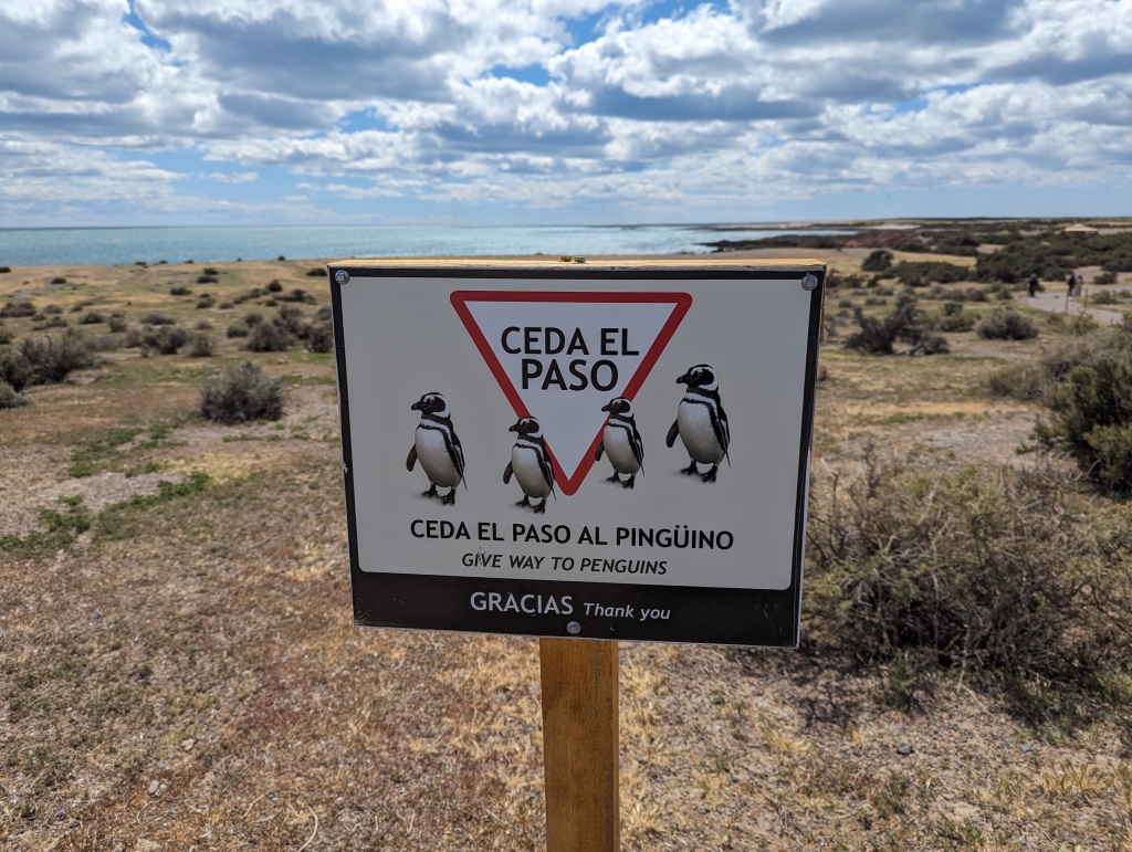 A sign saying “”Ceda El Paso” (give way to penguins) with four penguins on it.